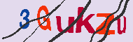Codice captcha