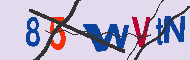 Codice captcha