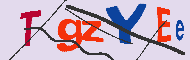 Codice captcha