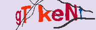 Codice captcha