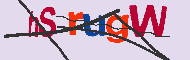 Codice captcha