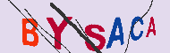 Codice captcha