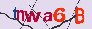 Codice captcha