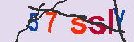 Codice captcha