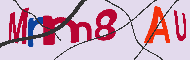 Codice captcha