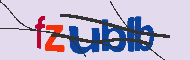 Codice captcha
