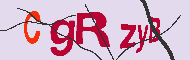 Codice captcha