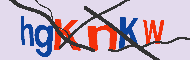 Codice captcha