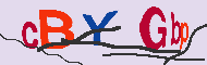 Codice captcha