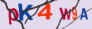 Codice captcha