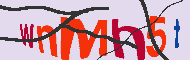Codice captcha