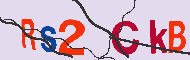 Codice captcha