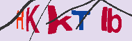 Codice captcha