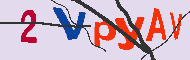Codice captcha