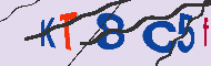 Codice captcha