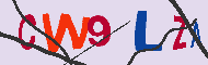 Codice captcha