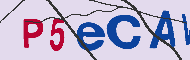 Codice captcha