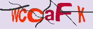 Codice captcha