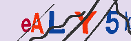 Codice captcha