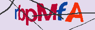 Codice captcha