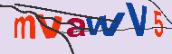Codice captcha