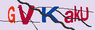 Codice captcha