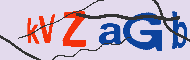 Codice captcha