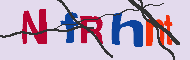 Codice captcha