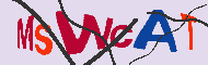 Codice captcha