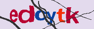 Codice captcha
