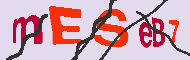 Codice captcha