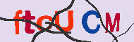 Codice captcha
