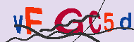 Codice captcha