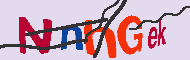 Codice captcha