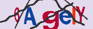 Codice captcha