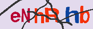 Codice captcha
