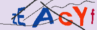 Codice captcha