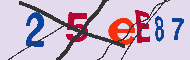 Codice captcha