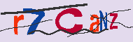 Codice captcha