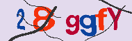 Codice captcha
