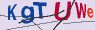 Codice captcha
