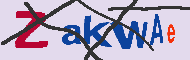 Codice captcha