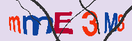 Codice captcha