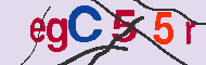 Codice captcha