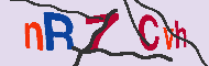 Codice captcha