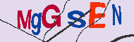 Codice captcha