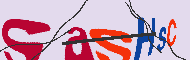 Codice captcha