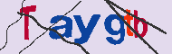 Codice captcha