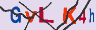 Codice captcha