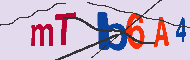 Codice captcha